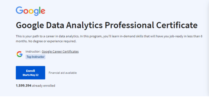 Google Data Analytics Certification Cost