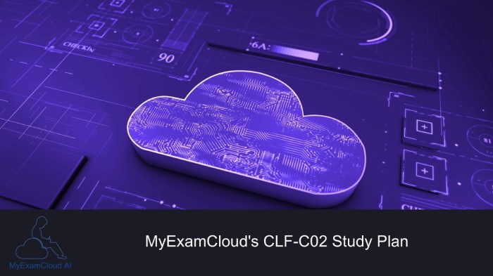 AWS Cloud Certification Exam: Real Exam Questions and Correct | Course Hero Cloud Computing Certification Online AWS