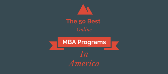 Online MBA Programs Accredited USA