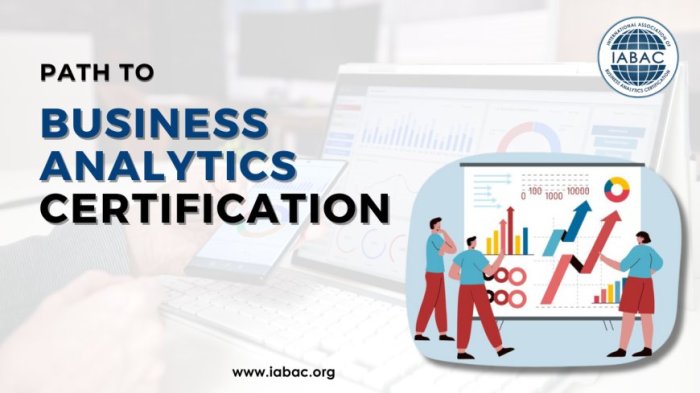 Path to Business Analytics Certification - IABAC Path to Business Analytics Certification - IABAC